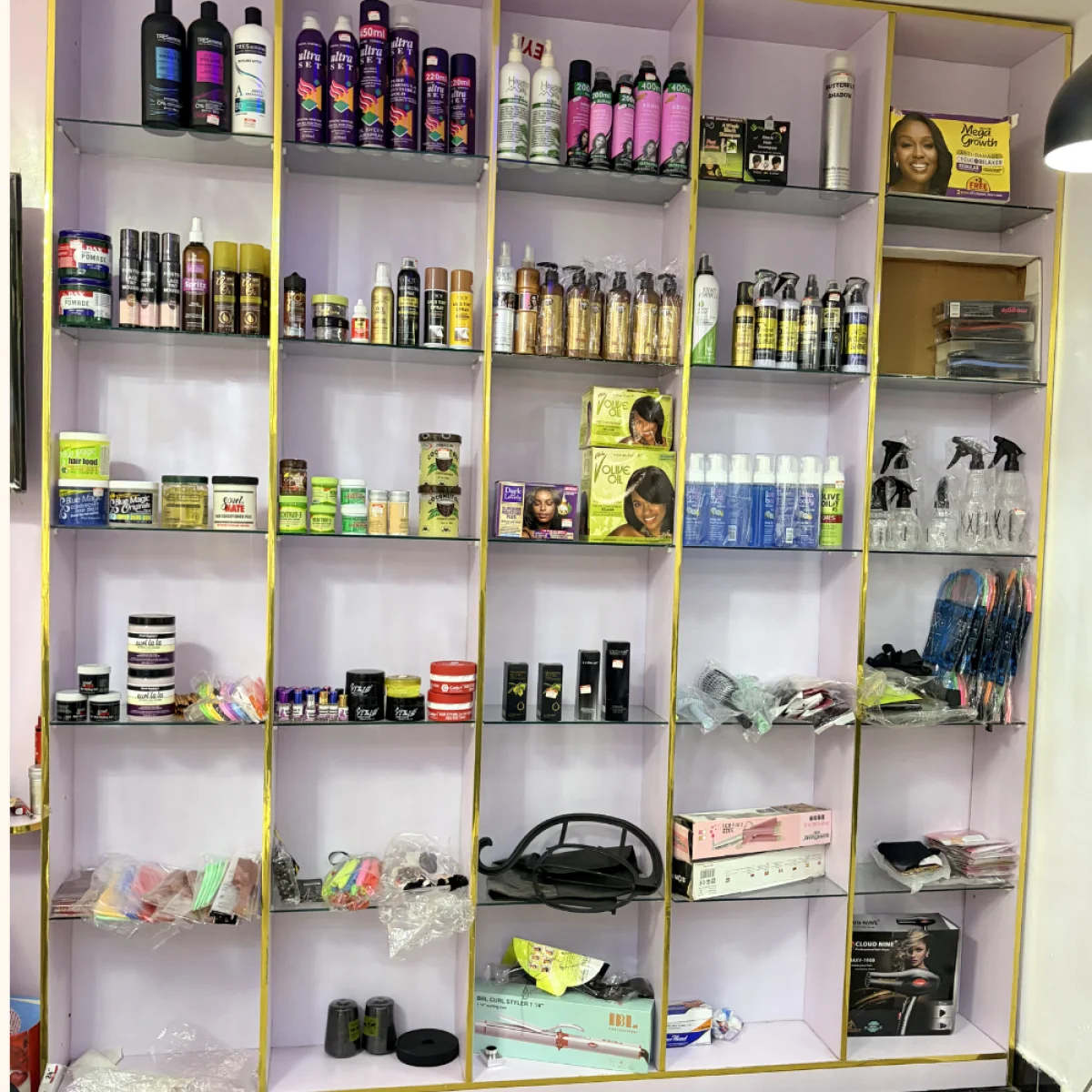 SALON VIEW